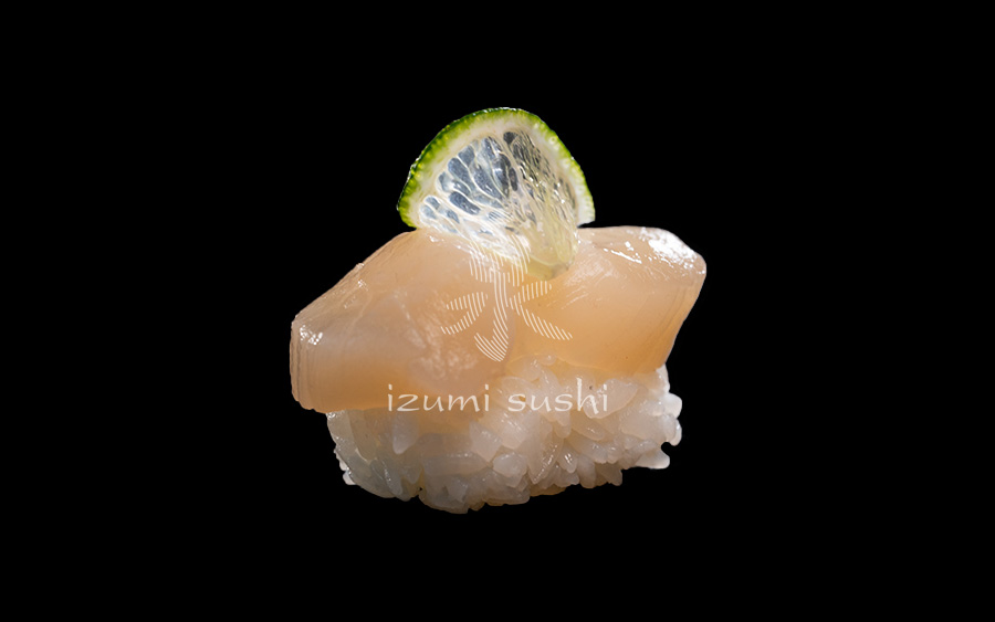 NIGIRI LUB SASHIMI – HOTATE – MAŁŻA ŚW. JAKUBA
