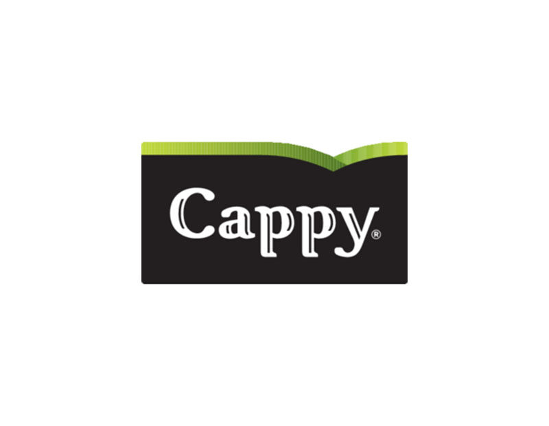 SOK CAPPY 0,25L